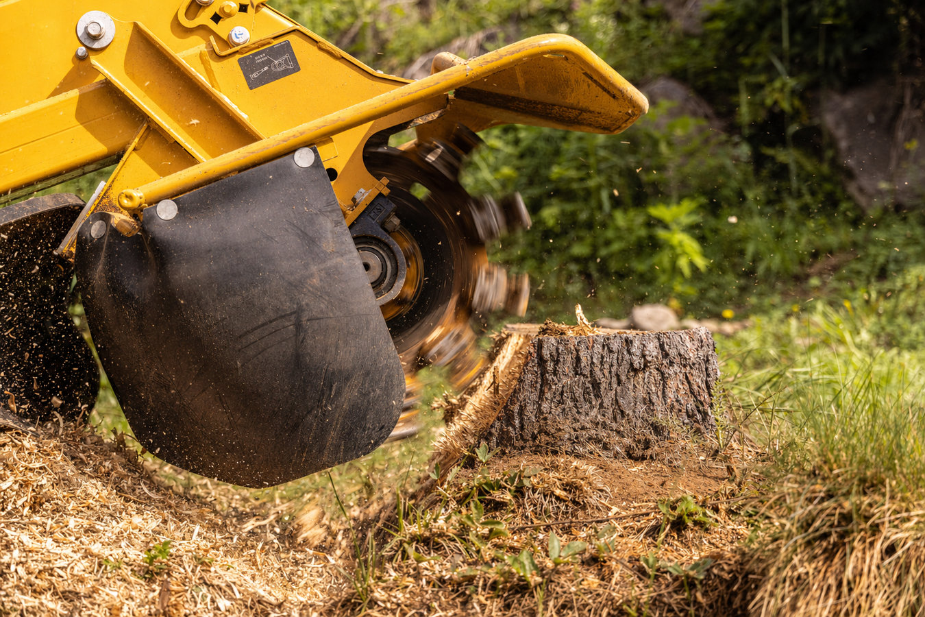 Stump grinding in Mead Valley, CA